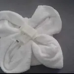 Magnolia 2*