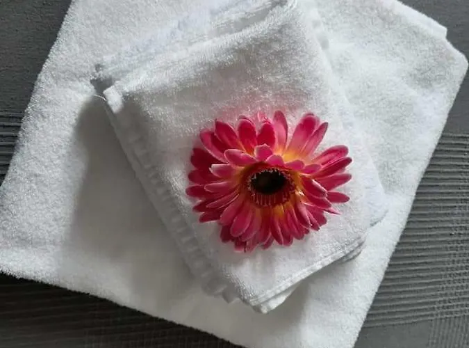 Otel Magnolia Valmontone